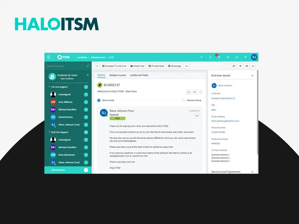 HALOITSM LOGO